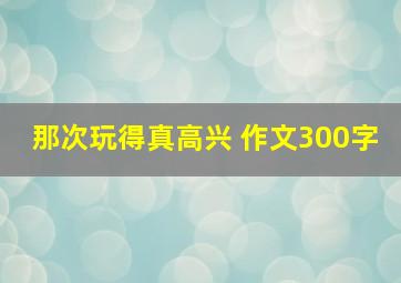 那次玩得真高兴 作文300字